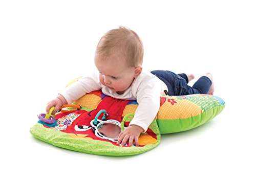 Cojín Elefante Playgro