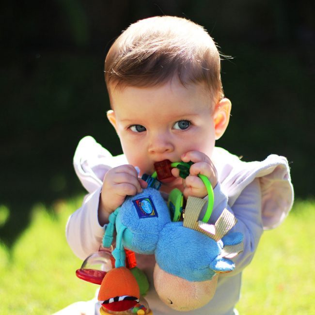 Mordedor Actividades Clip Clop Playgro
